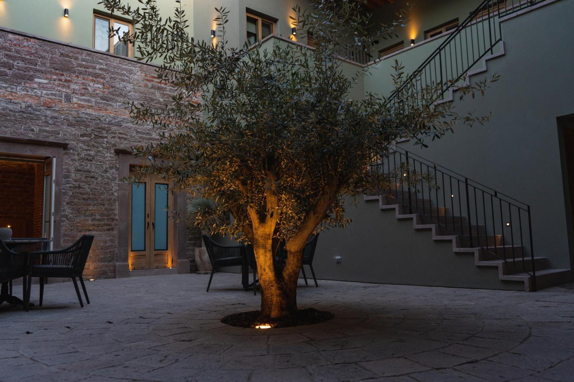 Hotel Casa Aranzazu San Luis Potosí Eksteriør bilde